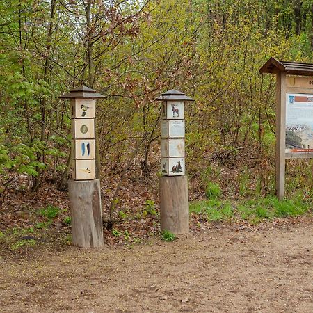 Natura Ilawa Luxury Apartments Kültér fotó